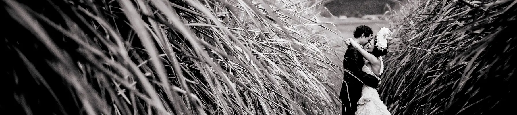 BLOG HEADER 03 | Tim Moolman Photography