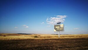 Still life photo by Tim Moolman